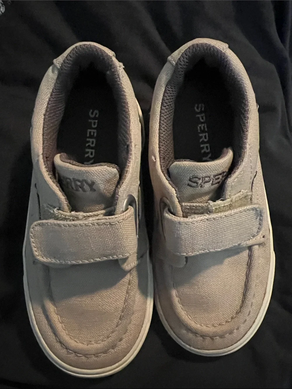 Sperry classic canvas